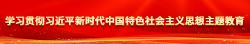 色的我爱插嫩逼学习贯彻习近平新时代中国特色社会主义思想主题教育